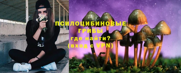 первитин Алзамай